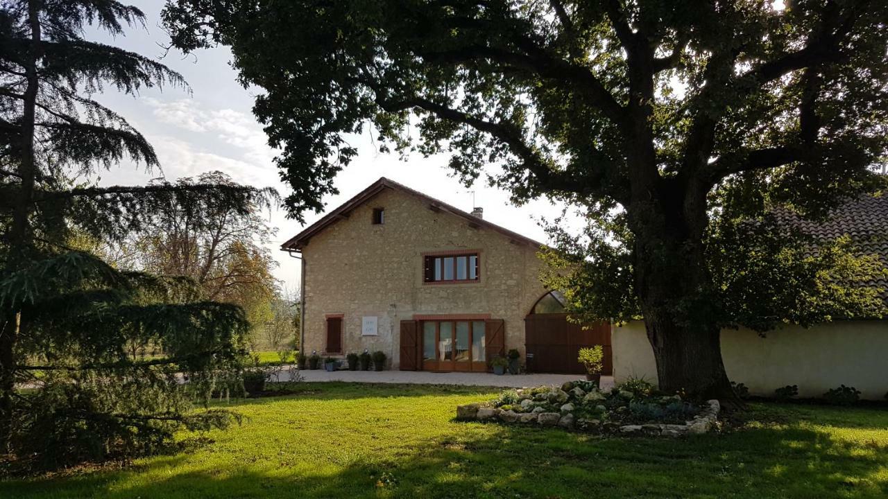 Maison D'Hotes Saint Alary Hotel Lavaur  Kültér fotó